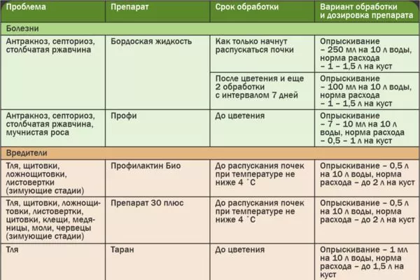 обработки смородины Ермак от болезней и вредителей