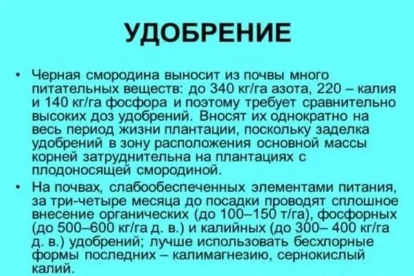 удобрение смородины Санюта