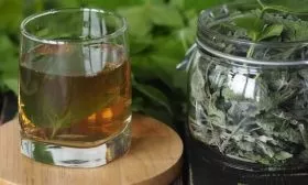 чай из листьев смородины Санюта