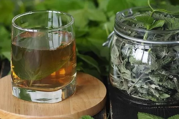 чай из листьев смородины Санюта