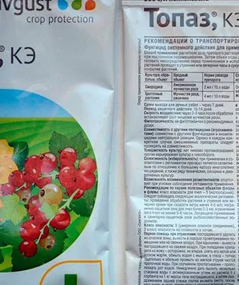 Топаз пиона Йеллоу Краун15