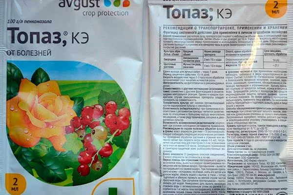 Топаз пиона Йеллоу Краун15