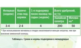 подкормки для тыквы Матрёшка