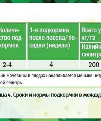 подкормки для тыквы Матрёшка