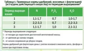 удобрения для тыквы Матрёшка