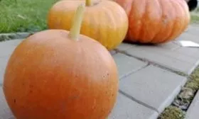 плоды Матрёшки