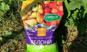 Удобрения яблони Штрейфлинг18 яблони Штрейфлинг18