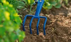 Уход за почвой перец Испанский бык11