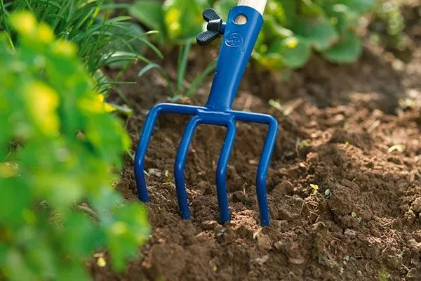 Уход за почвой перец Испанский бык11