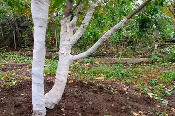 Укрытие на зиму