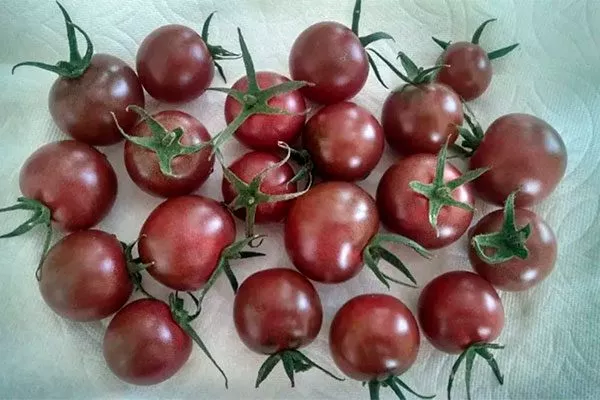 урожай томата Вишенка чёрная13