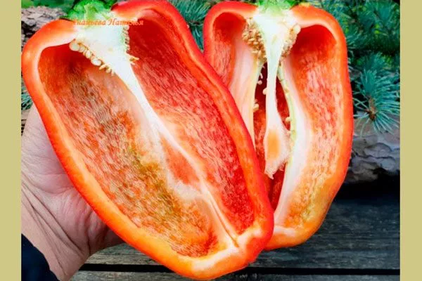 в разрезе перец Испанский бык1