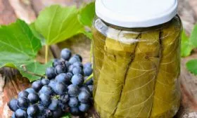 виноградный лист винограда Родина3