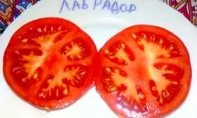 вкус 1 томаты сорта Лабрадор3