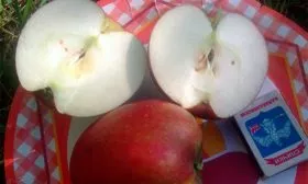 вкус и назначение