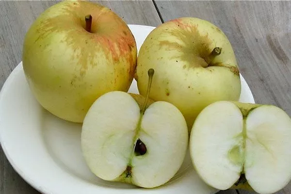 вкус и назначение Яблоня Голден Делишес2