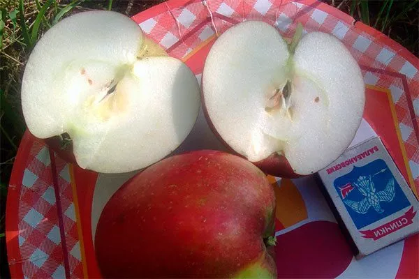 вкус и назначение