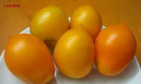 вкус томаты Чудо Света2