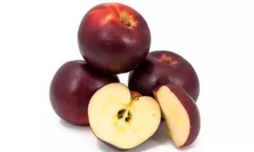 вкус яблони Чёрный принц2