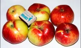 вкус яблони Свежесть2