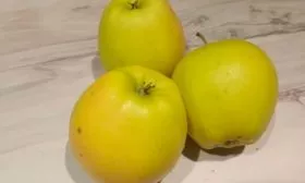 вкус Яблоня Голден Делишес3
