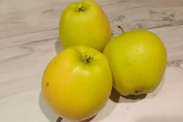 вкус Яблоня Голден Делишес3