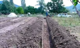 Выбор и подготовка участка малины Малиновая гряда3