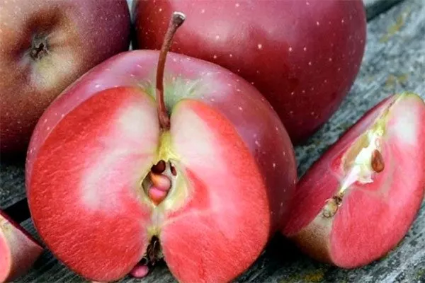 яблоки яблони Байя Мариса16