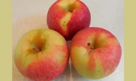 яблоки яблони Свежесть12
