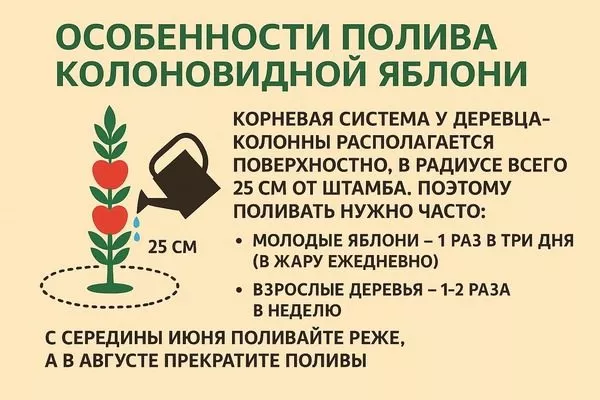 особенности полива яблони Есения