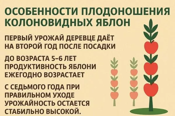 особенности плодоношения дерева сорта Есения