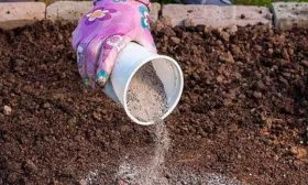 За неделю до посадки важно хорошо удобрить почву яблони Строевское7