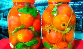 засолка помидор