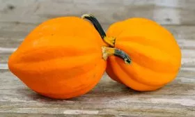 Жёлудь золотой (Table Gold Acorn Squash) тыквы Акорн3