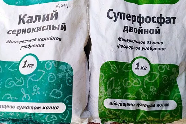 25 г сернокислого калия (или 40 г калимагнезии) и 40 г Суперфосфата подкормить сливу3