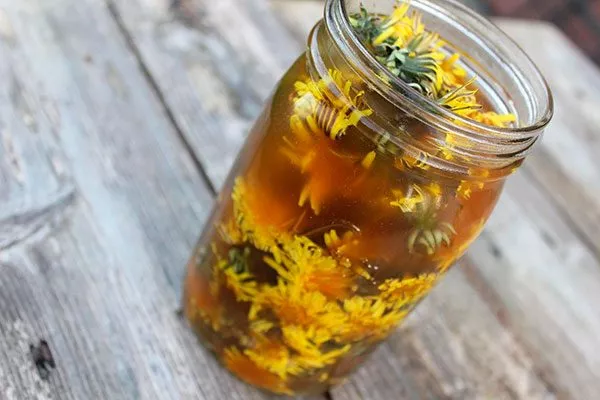 4-11 Паутинный клещ1