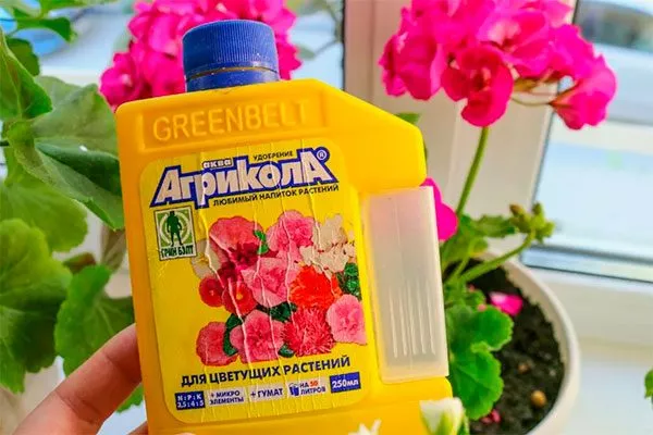Агрикола для цветущих как удобрять пеларгонию5