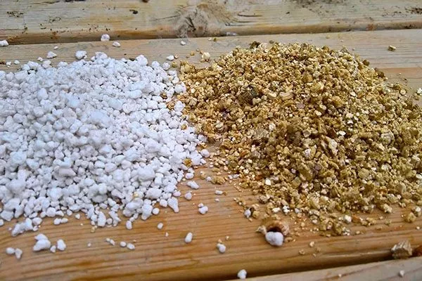 агроперлит или вермикулит Критерии выбора почвы2