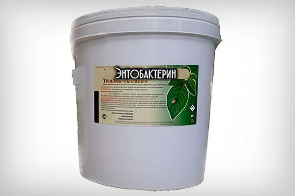 Энтобактерин