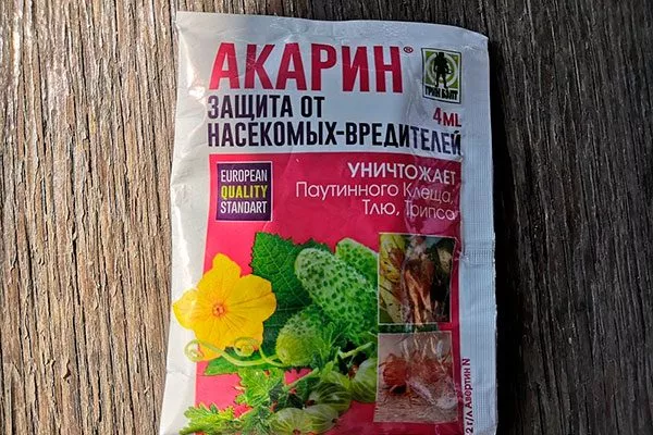 Акарин Паутинный клещ12