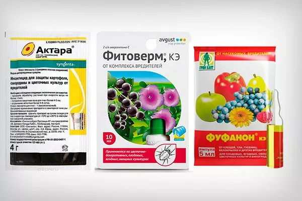 Актару, Фуфанон или биопрепарат Фитоверм Тля на груше3
