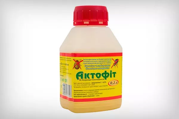 Актофит Тля на груше5