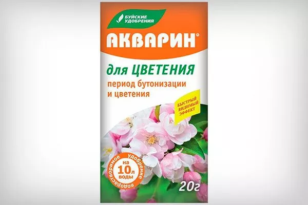 Акварин для цветения как удобрять пеларгонию7