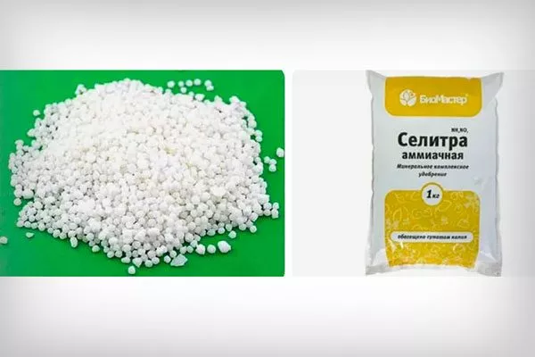 Аммиачная селитра Подкормка алычи5