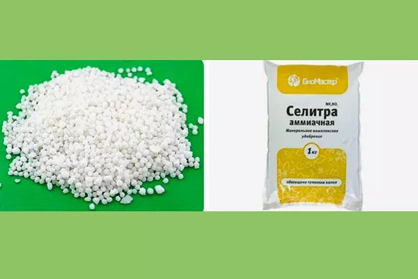 аммиачную селитру Удобрение грецкого ореха1