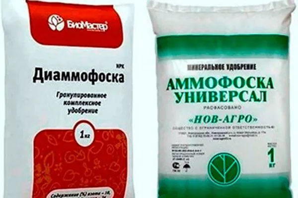 аммофос и диаммофос Удобрение грецкого ореха2