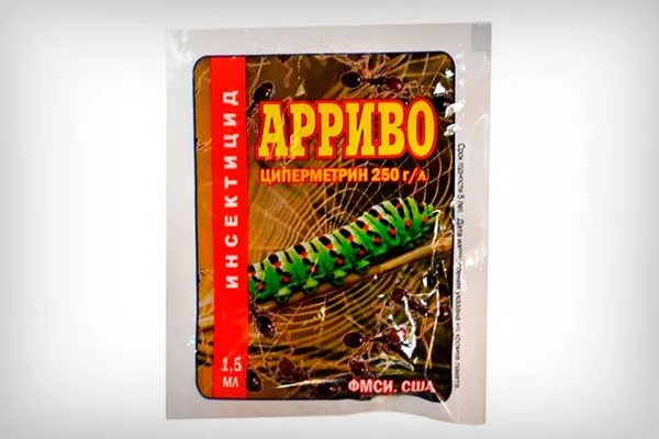 Арриво способы борьбы3