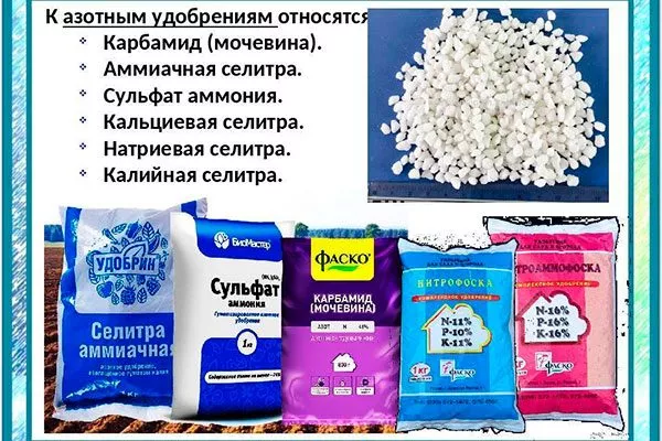 Азотные (селитра, мочевина) уход за грушей3