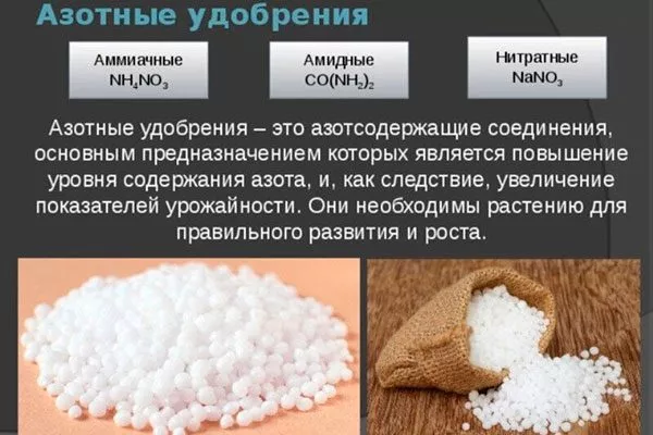 Азотные удобрения в чистом виде