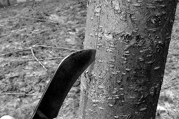 Бороздование